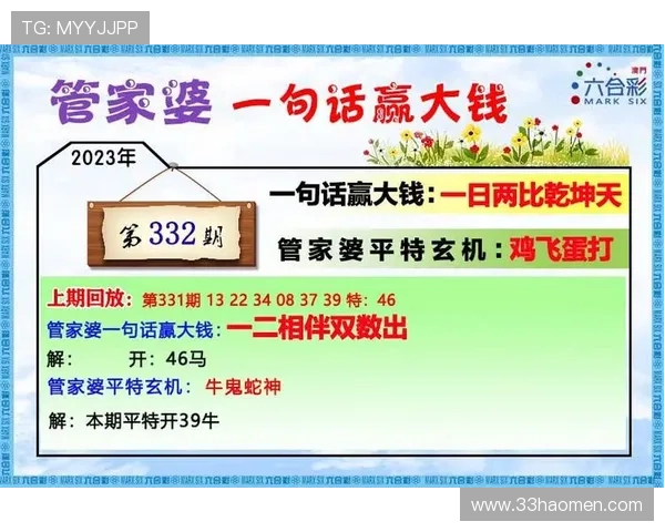 全面解析澳门开码表的使用与技巧